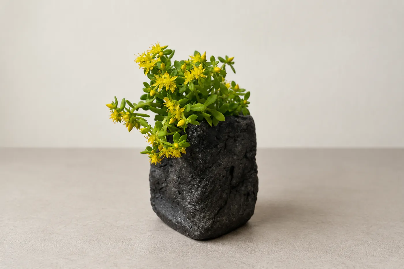 黄色い小花と自作の黒い花器