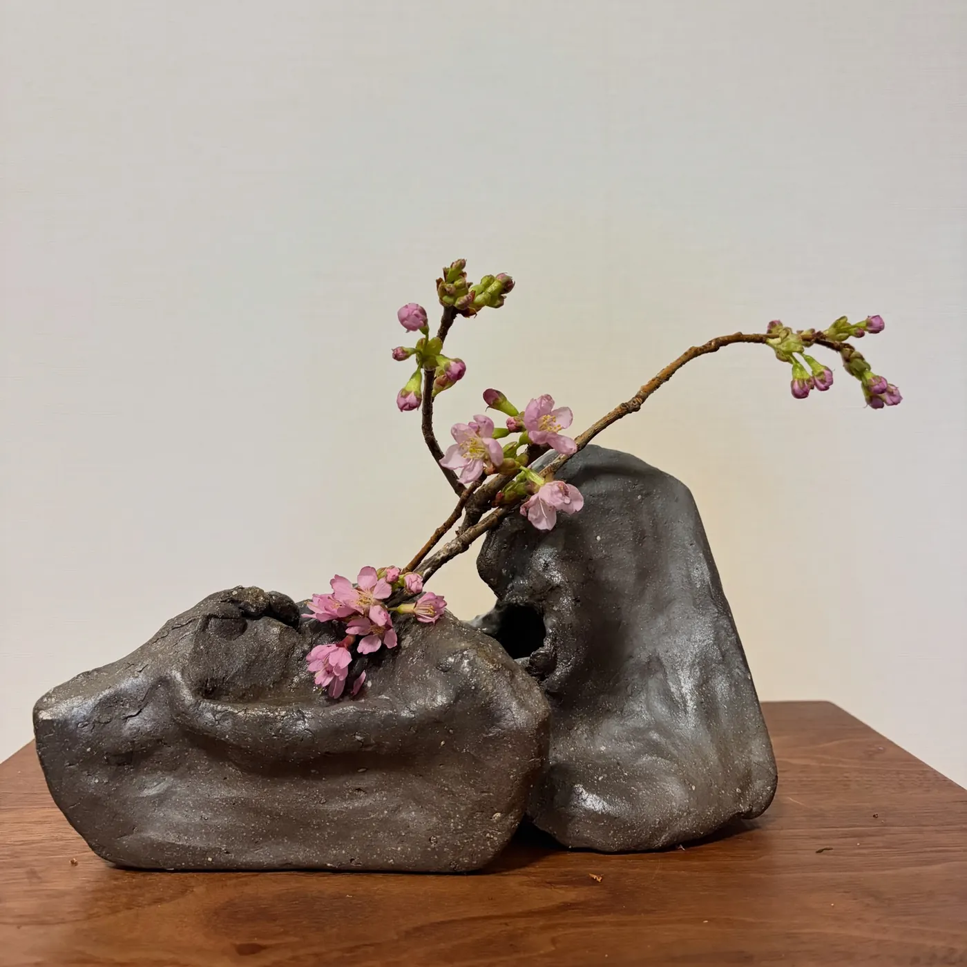 桜と自作の尖った花器